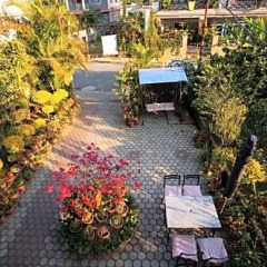 Отель Orchid Непал, Покхара - отзывы, цены и фото номеров - забронировать отель Orchid онлайн фото 14