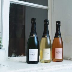Отель Casa Marcello Прага фото 16