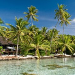 Vahine Island Resort in Opoa, French Polynesia from 1026$, photos, reviews - zenhotels.com outdoors
