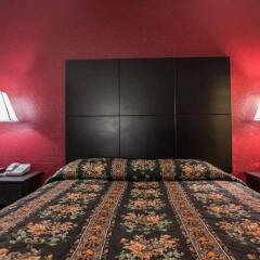 Отель Econo Lodge Saint Louis США, Сент-Луис - отзывы, цены и фото номеров - забронировать отель Econo Lodge Saint Louis онлайн комната для гостей фото 5