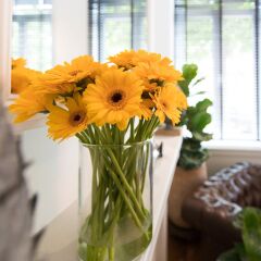 Boutique Hotel Maison Emile Антверпен интерьер отеля