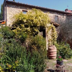 Отель La Vittoria 10 – La Soglia della Val d’Orcia Кьянчиано Терме фото 7