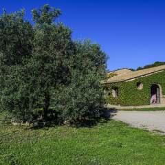 Отель Agriturismo Salemi Италия, Пьяцца-Армерина - отзывы, цены и фото номеров - забронировать отель Agriturismo Salemi онлайн фото 16