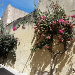 Отель House With 2 Bedrooms in Jerez de la Frontera, With Terrace and Wifi Испания, Херес-де-ла-Фронтера - отзывы, цены и фото номеров - забронировать отель House With 2 Bedrooms in Jerez de la Frontera, With Terrace and Wifi онлайн фото 4