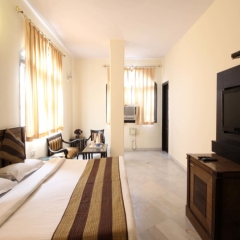 Отель Grand Central Hotel Индия, Нью-Дели - отзывы, цены и фото номеров - забронировать отель Grand Central Hotel онлайн комната для гостей фото 3