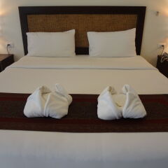 Отель Paddys Palms Resort в номере