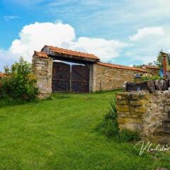 Отель Bachvarovi Houses Боженци с домашними животными