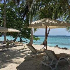 Отель Samura Maldives Guest House Thulusdhoo Мальдивы, Северный атолл Мале - отзывы, цены и фото номеров - забронировать отель Samura Maldives Guest House Thulusdhoo онлайн фото 2