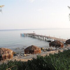 Отель Mastichari Bay Hotel Греция, Калимнос - отзывы, цены и фото номеров - забронировать отель Mastichari Bay Hotel онлайн фото 7