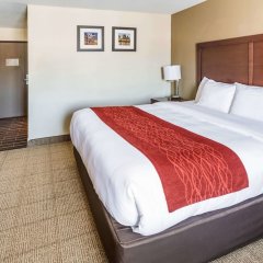 Comfort Inn in Waukesha, United States of America from 119$, photos, reviews - zenhotels.com guestroom