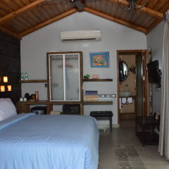 Отель The Baga Beach Resort Индия, Бага - отзывы, цены и фото номеров - забронировать отель The Baga Beach Resort онлайн комната для гостей
