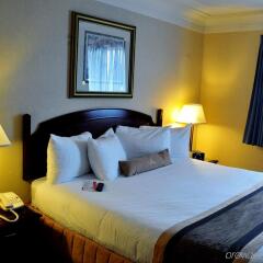 Отель Best Western Village Park Inn Канада, Калгари - отзывы, цены и фото номеров - забронировать отель Best Western Village Park Inn онлайн комната для гостей фото 5