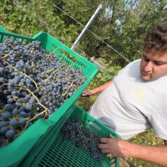 Отель Agriturismo Sol De Montalto Риволи-Веронезе помещение для мероприятий