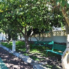 Отель Finca Tomás y Puri фото 14