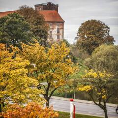 First Hotel Kolding фото 7