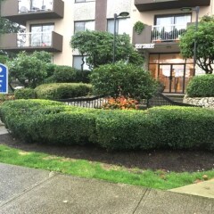 Отель Executive Suites in Burnaby Lake Канада, Бурнаби - отзывы, цены и фото номеров - забронировать отель Executive Suites in Burnaby Lake онлайн с домашними животными