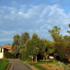 Отель Cascina Alberta Виньяле-Монферрато фото 5