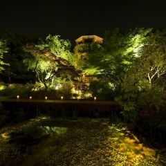 Отель The Westin Tokyo Япония, Токио - отзывы, цены и фото номеров - забронировать отель The Westin Tokyo онлайн фото 10