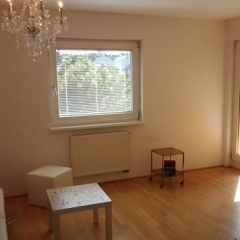 Отель Puzzlehotel Appartement Schönbrunn Австрия, Вена - отзывы, цены и фото номеров - забронировать отель Puzzlehotel Appartement Schönbrunn онлайн комната для гостей фото 5