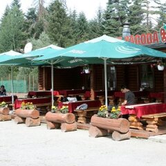 Отель Yagoda Chalets Болгария, Боровец - отзывы, цены и фото номеров - забронировать отель Yagoda Chalets онлайн с домашними животными