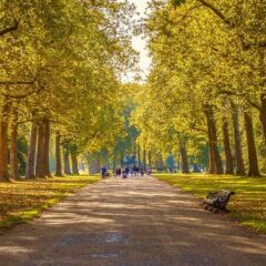 Отель Maida Vale Aparthotel Великобритания, Лондон - отзывы, цены и фото номеров - забронировать отель Maida Vale Aparthotel онлайн приотельная территория