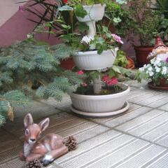 Отель Guest House Orchidea Болгария, Поморие - отзывы, цены и фото номеров - забронировать отель Guest House Orchidea онлайн с домашними животными