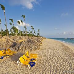 Отель Iberostar Dominicana All Inclusive Доминикана, Пунта Кана - 6 отзывов об отеле, цены и фото номеров - забронировать отель Iberostar Dominicana All Inclusive онлайн пляж