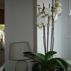 Spillo Bed And Breakfast in Warsaw, Poland from 89$, photos, reviews - zenhotels.com room amenities photo 2