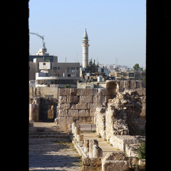 Отель ibis Amman с домашними животными