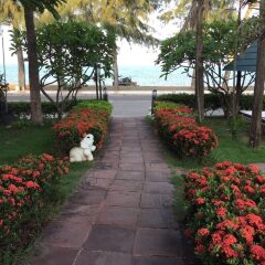Отель Bacchus Home Resort Таиланд, Пак-Нам-Пран - отзывы, цены и фото номеров - забронировать отель Bacchus Home Resort онлайн фото 10