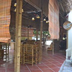 Отель Hoalu Backpacker Homestay Ninh Binh гостиничный бар