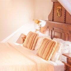 Hotel U Krale Karla удобства в номере
