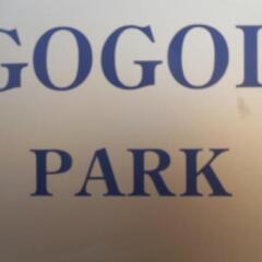 Gogol Park Hotel фото 18