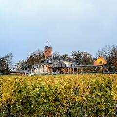 Relais & Châteaux Hotel Burg Schwarzenstein Гайзенхайм приотельная территория фото 2