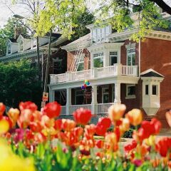 Отель Woodley Park Guest House