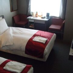 Hotel Lake Alster Alza Izumiotsu Матсубара комната для гостей фото 5