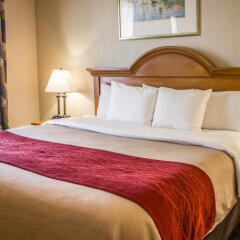 Отель Comfort Inn JFK Airport США, Нью-Йорк - 1 отзыв об отеле, цены и фото номеров - забронировать отель Comfort Inn JFK Airport онлайн комната для гостей фото 5
