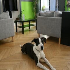 Отель Hostel & Guesthouse Kaiser 23 Австрия, Вена - 4 отзыва об отеле, цены и фото номеров - забронировать отель Hostel & Guesthouse Kaiser 23 онлайн парковка