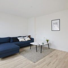Апартаменты Bright and Modern Apartment With a Rooftop Terrace in the Center of Copenhagen Копенгаген комната для гостей фото 4