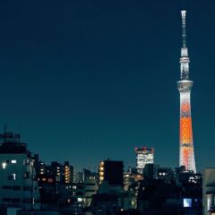 Отель Metropolitan Edmont Tokyo Япония, Токио - отзывы, цены и фото номеров - забронировать отель Metropolitan Edmont Tokyo онлайн фото 9