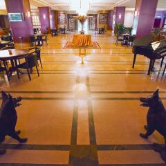 The Green Park Resort Kartepe Турция, Дербент - отзывы, цены и фото номеров - забронировать отель The Green Park Resort Kartepe онлайн питание фото 3