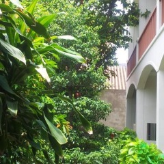 Отель Loc Phat Hoi An Homestay - Villa фото 23