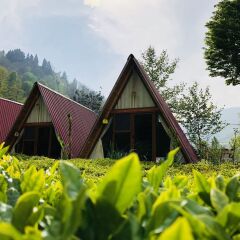 Отель Tabiat Bungalows Чамлыхемшин фото 22