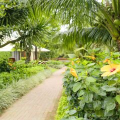 Отель Hoi An Silk Marina Resort & Spa Вьетнам, Хойан - отзывы, цены и фото номеров - забронировать отель Hoi An Silk Marina Resort & Spa онлайн фото 4