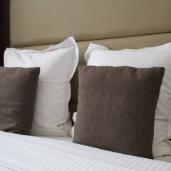 Отель Golden Tree Hotel Бельгия, Брюгге - 4 отзыва об отеле, цены и фото номеров - забронировать отель Golden Tree Hotel онлайн сейф в номере