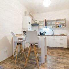 Апартаменты Charles bridge apartment в номере фото 2