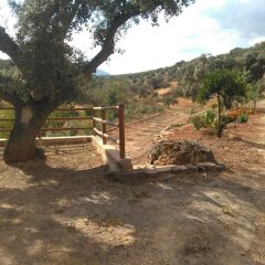 Отель Finca La Gitanilla детские мероприятия