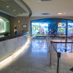 Отель Azul Ixtapa Resort - Все включено интерьер отеля фото 2