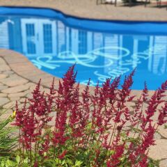 Отель Relais St-Denis