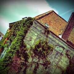 Hostel Lybeer Bruges спортивное сооружение